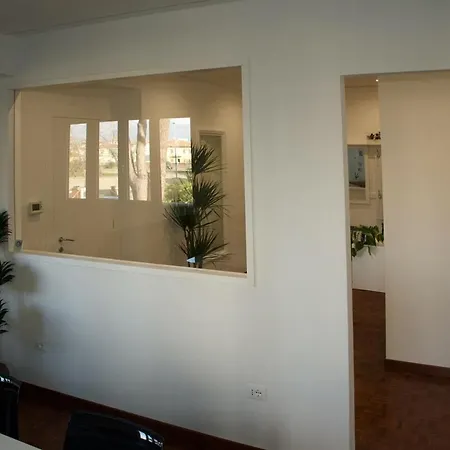 Biemot Near The Sea And Pine Forest Viareggio