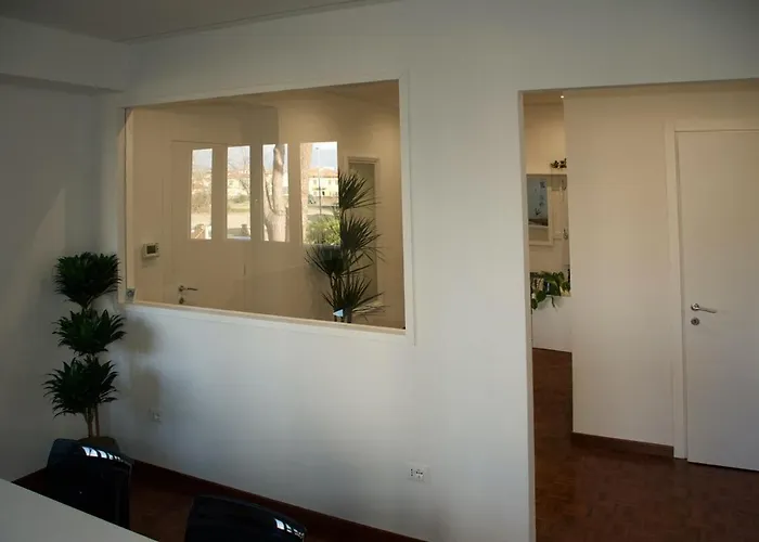 Biemot Near The Sea And Pine Forest Viareggio