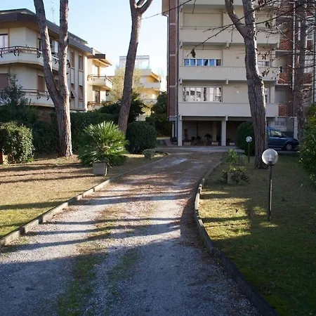 Biemot Near The Sea And Pine Forest