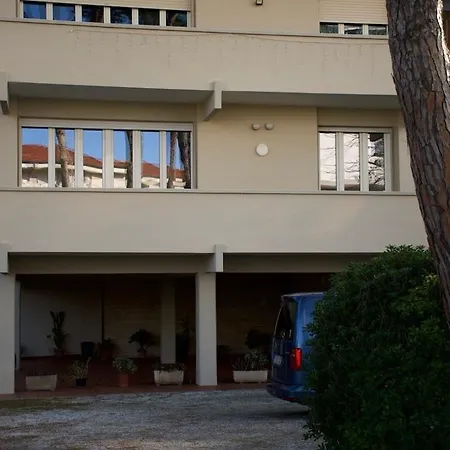 Biemot Near The Sea And Pine Forest *