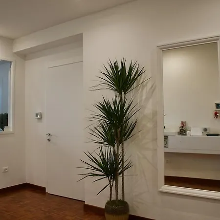 Biemot Near The Sea And Pine Forest *